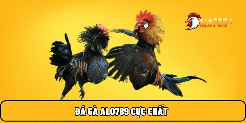 ALO789 🎖️ Trang Chủ Uy Tín NO.1 Trên Thị Trường Đổi Thưởng 2025 20 Đá gà ALO789 cực chất